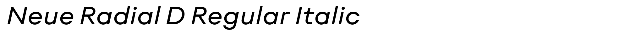 Neue Radial D Regular Italic image